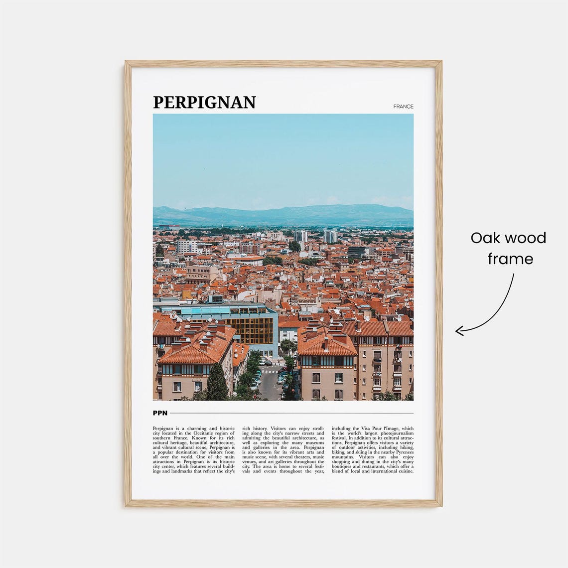 Perpignan France Terracotta Rooftops Panorama Mountain View Poster - Image 3