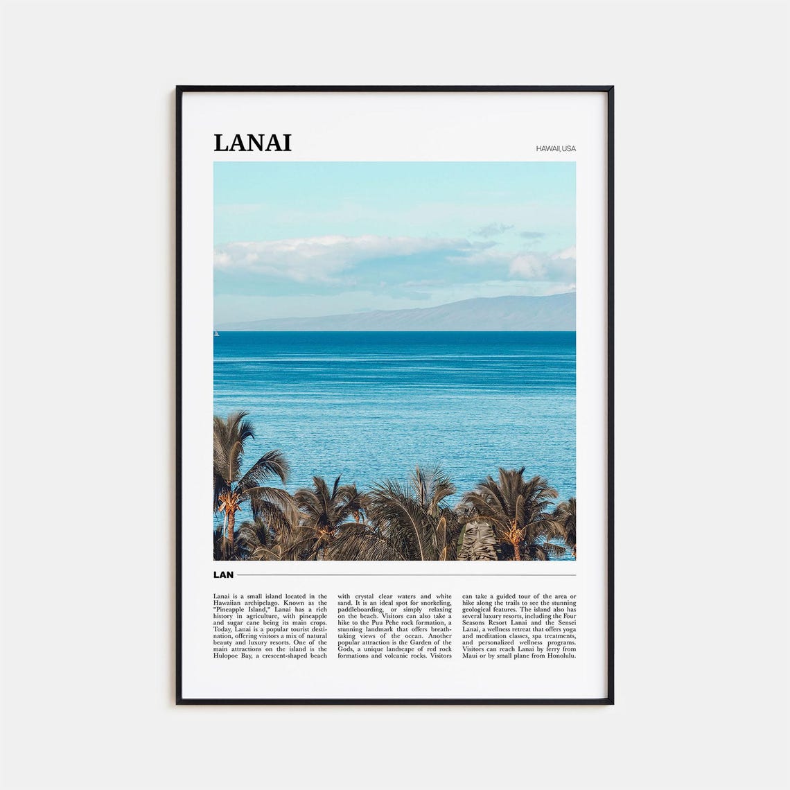 Lanai Hawaii Tropical Ocean Palms Pineapple Island Travel Poster
