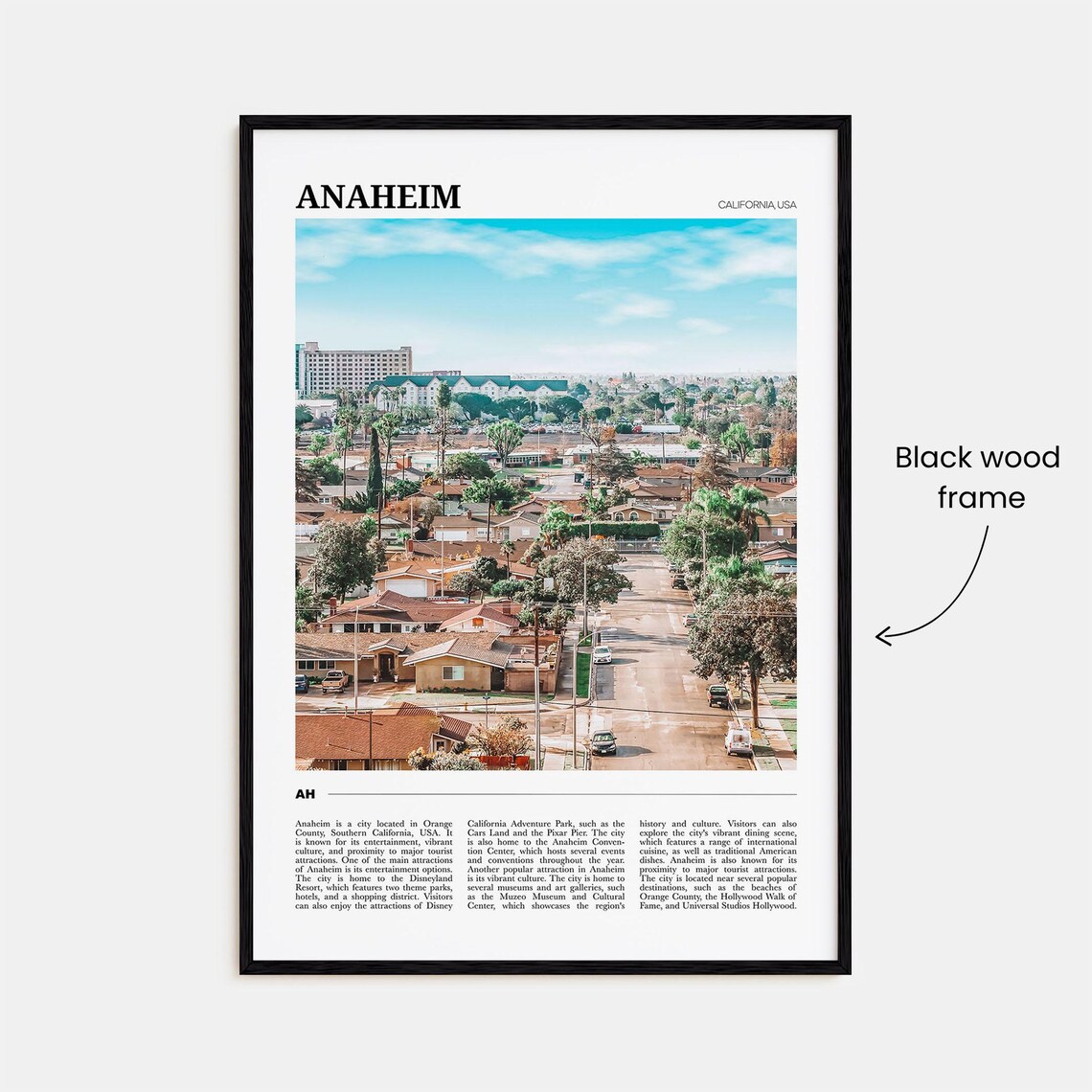 Anaheim California Travel Poster Suburban Neighborhood Palm Tree View - Image 2