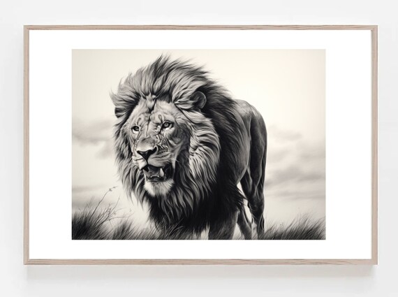 Majestic Lion Walking Through Tall Grass Black And White Poster