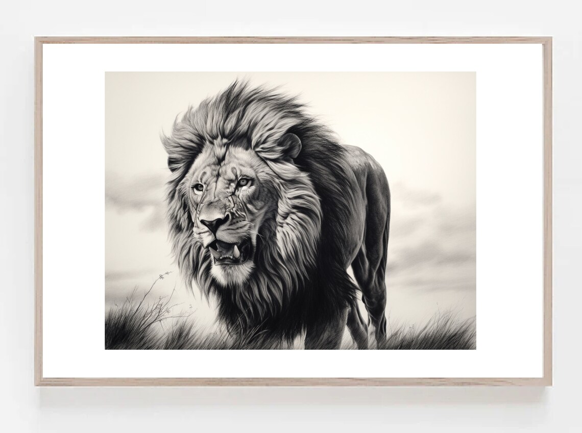 Majestic Lion Walking Through Tall Grass Black And White Poster