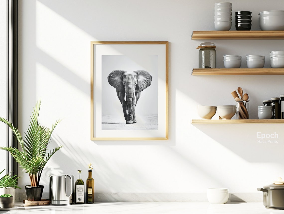 African Elephant Black And White Safari Art Print - Image 3