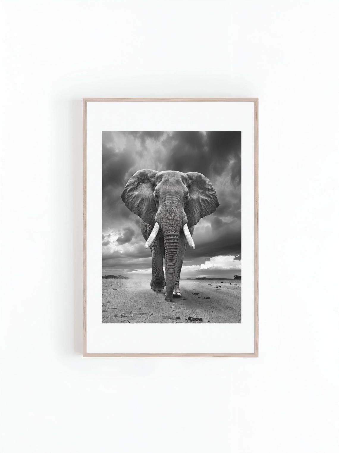 African Elephant Black And White Safari Animals Art Print
