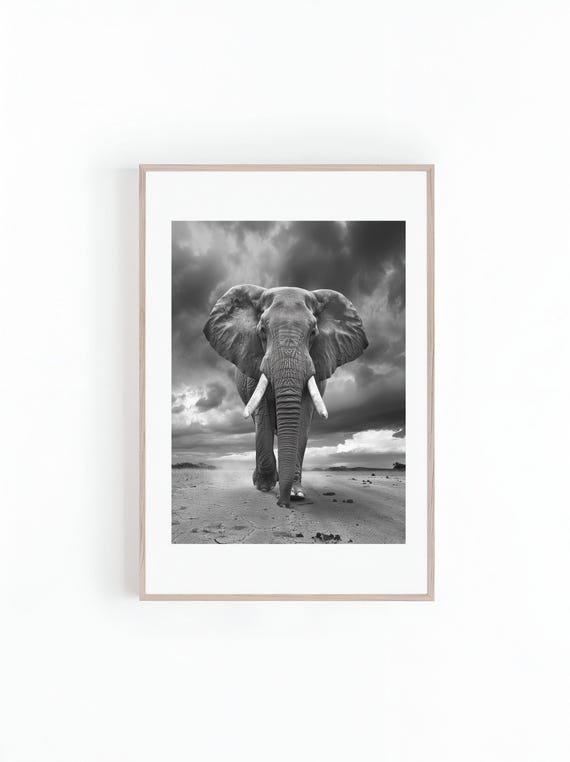 African Elephant Black And White Safari Animals Art Print