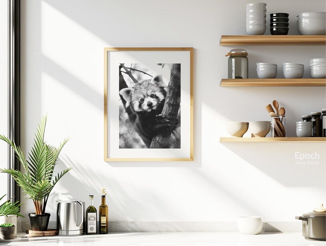 Adorable Baby Red Panda Climbing Tree Black White Photo Poster - Image 2