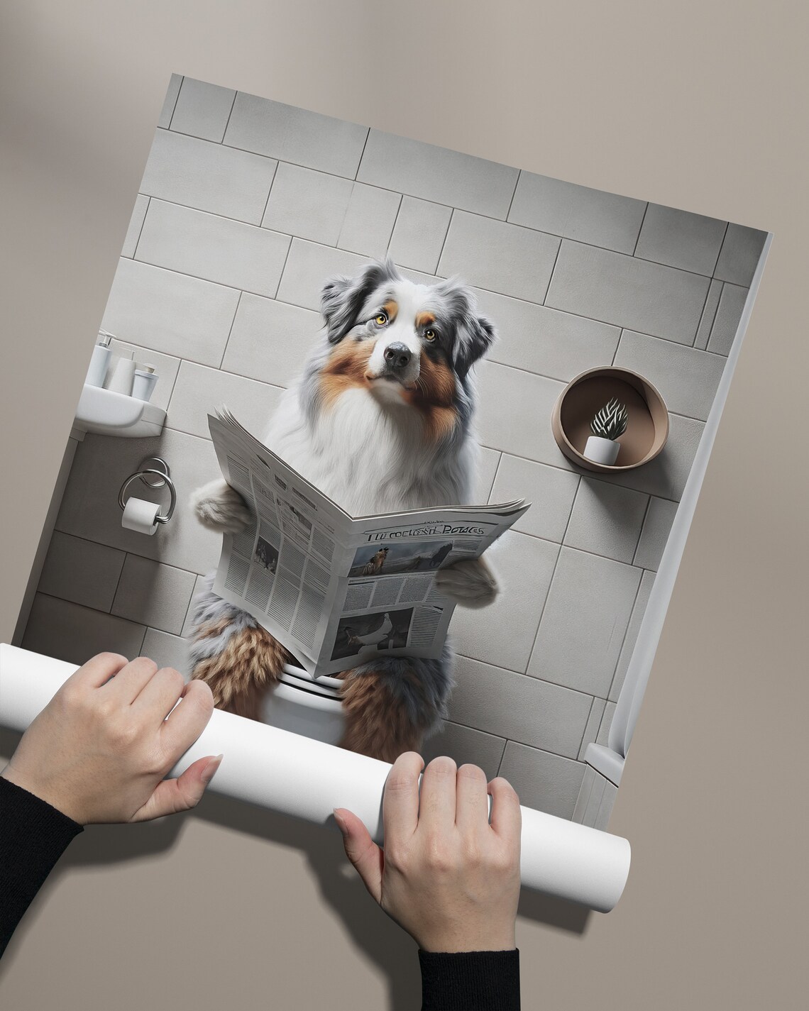 Australian Shepherd Reading Newspaper, Bathroom Gag Poster - Image 2