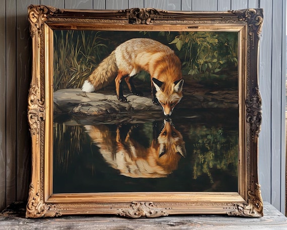 Red Fox Drinking Water With Reflection Vintage Wildlife Scene Poster