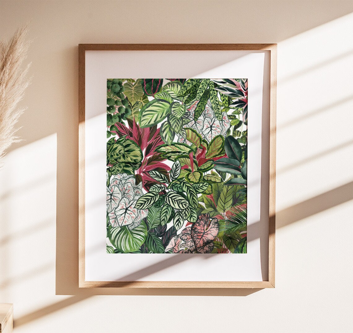 Urban Jungle Tropical Houseplant Leaves Botanical Illustration Poster