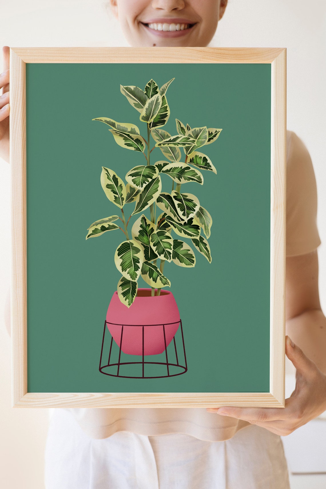 Variegated Rubber Plant Print Pink Pot Deep Green Background - Image 3