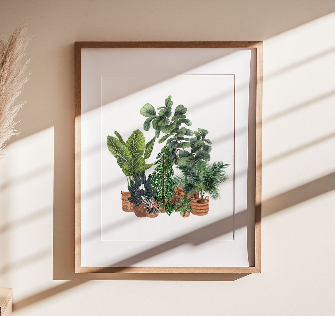 Potted Houseplants Collection Print Wicker Baskets Botanical Decor