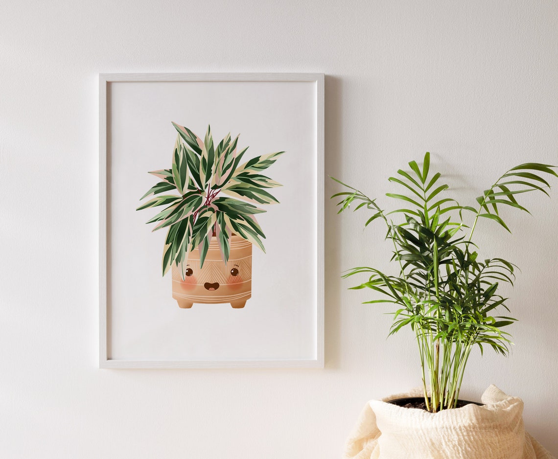 Variegated Stromanthe Triostar in a Smiling Terracotta Pot Poster - Image 3