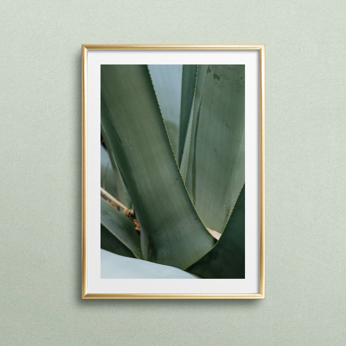Sage Green Agave Leaves Modern Macro Botanical Nature Photo Poster