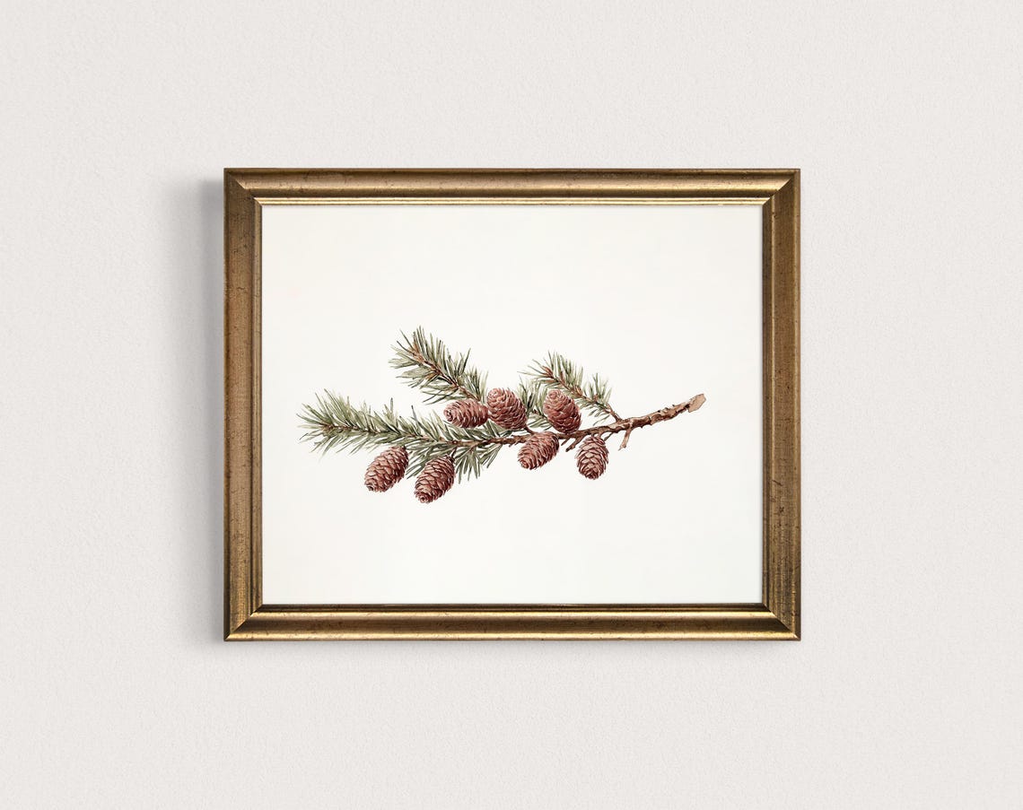 Pine Branch Pine Cones Watercolor Minimalist Winter Art Poster - Image 2