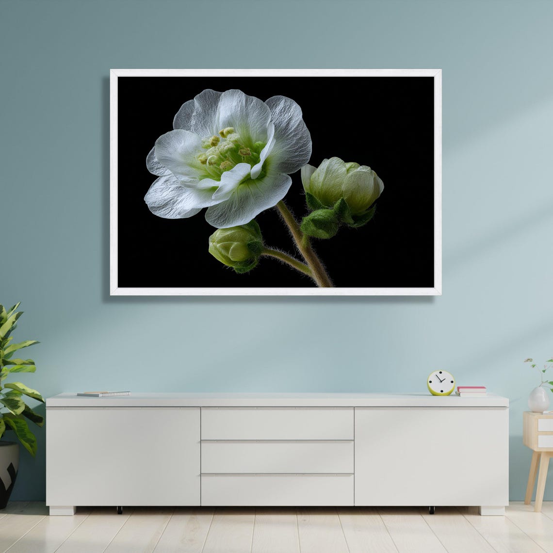 White Blossom Macro Flower Black Background Botanical Wall Art