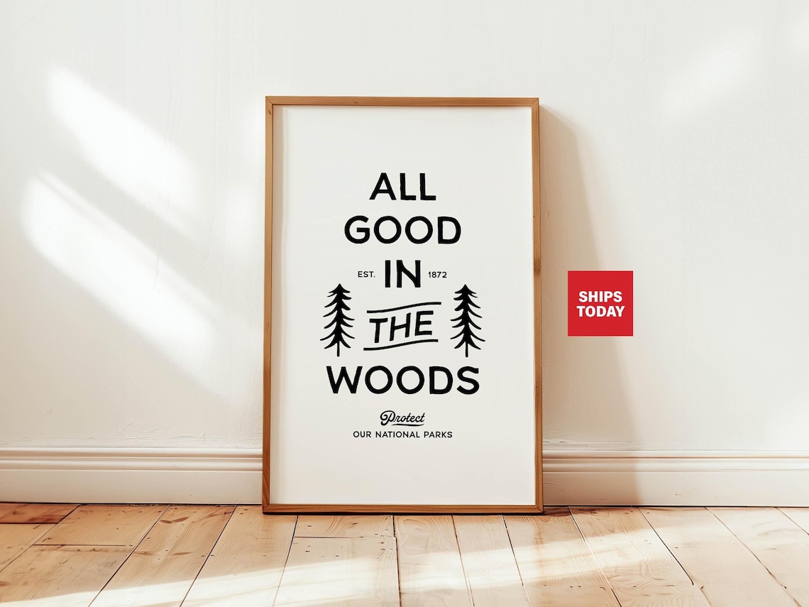 Protect Our Parks Retro Travel Poster Art Print