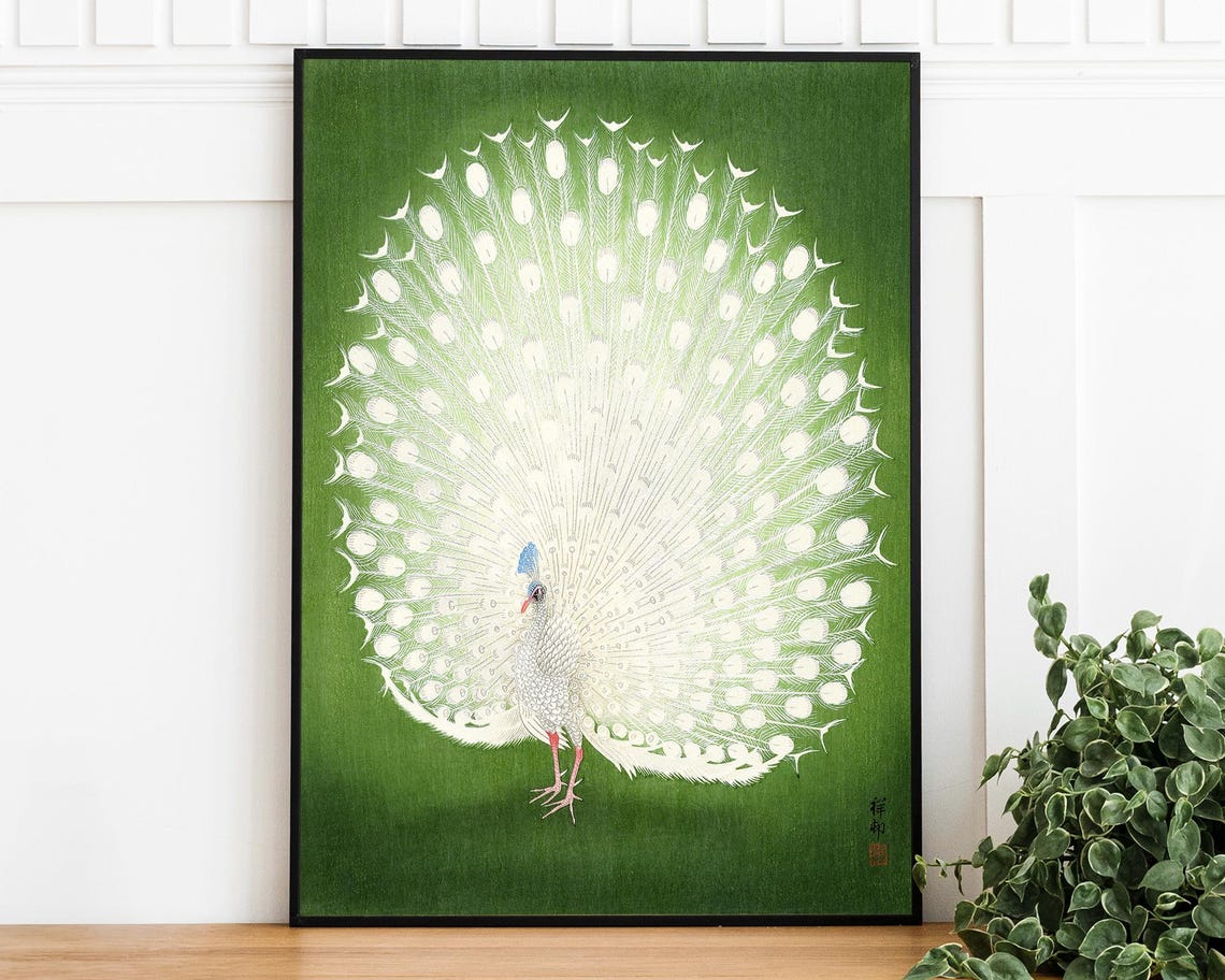 Ohara Koson White Peacock Fanned Tail Japanese Bird Art Print