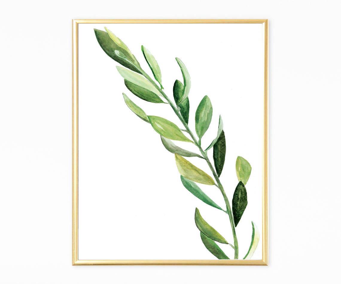 Fresh Green Olive Branch Watercolor Diagonal Botanical Art Poster