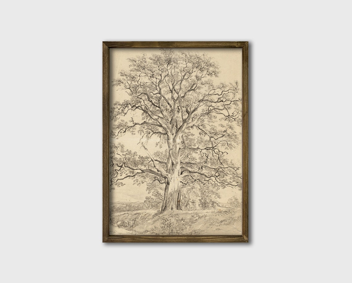 Towering Old Oak Tree Vintage Botanical Pencil Sketch Poster - Image 3