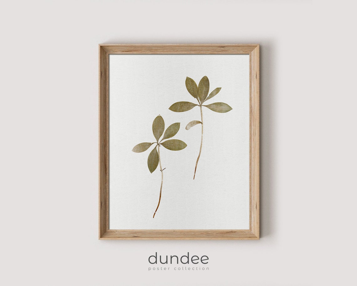 Pressed Dried Green Leaves Two Stems Minimalist Botanical Poster