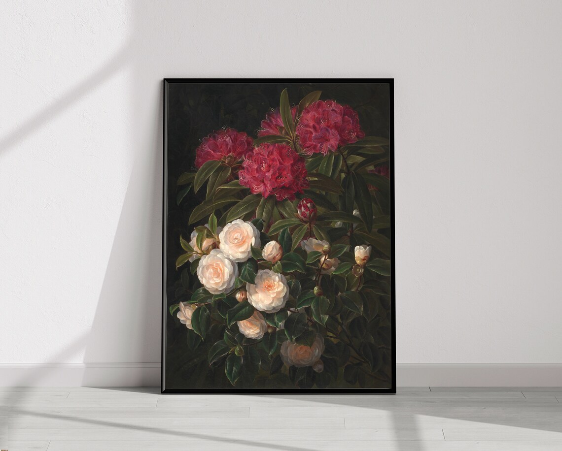 Crimson and White Camellias on Dark Background Botanical Poster - Image 2
