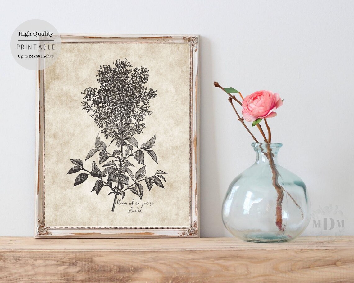 Vintage Lilac Botanical Illustration Bloom Where Youre Planted Wall Art - Image 5