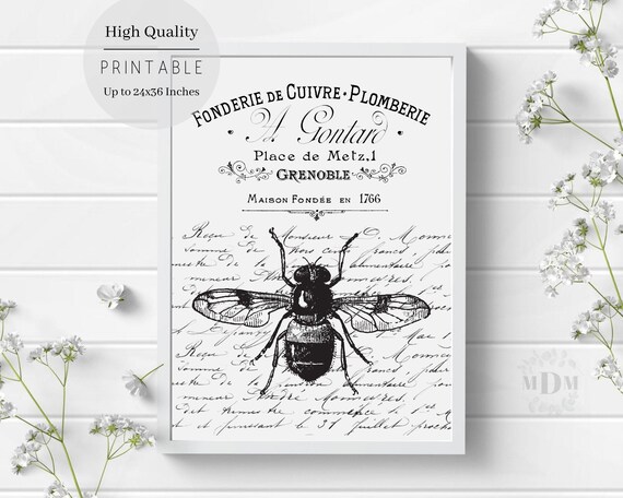 Black Bee French Script Typography Vintage Grenoble Black White Poster
