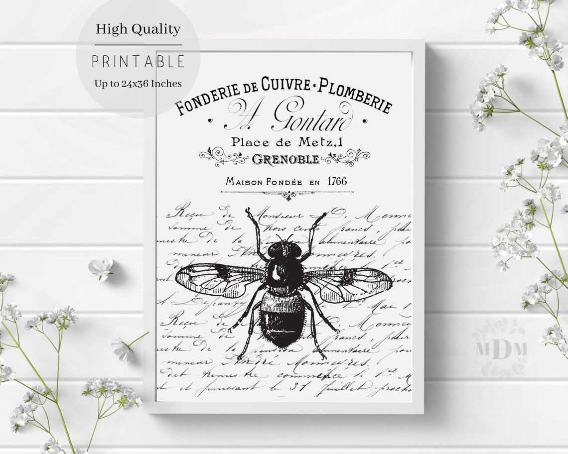 Black Bee French Script Typography Vintage Grenoble Black White Poster