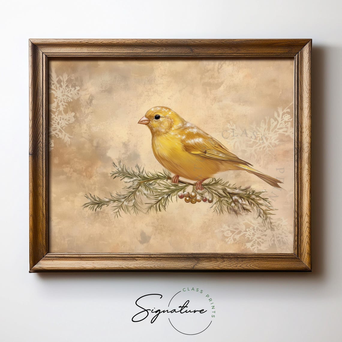 Yellow Canary on Juniper Branch Berries Vintage Winter Bird Poster - Image 5