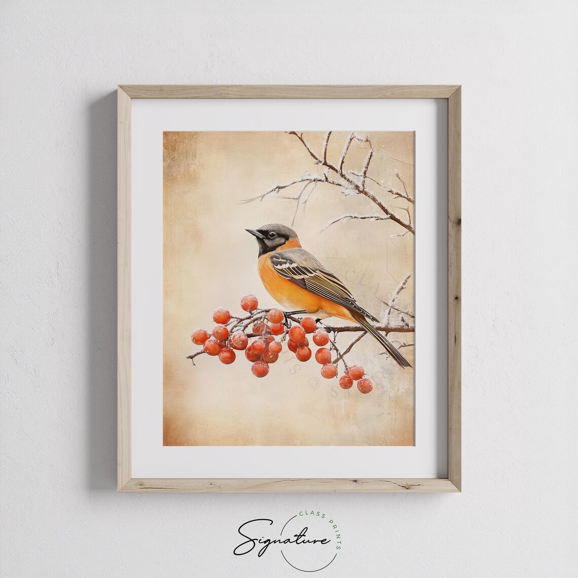 Orange Breasted Songbird on Frosted Red Berry Branch Winter Poster - Image 3