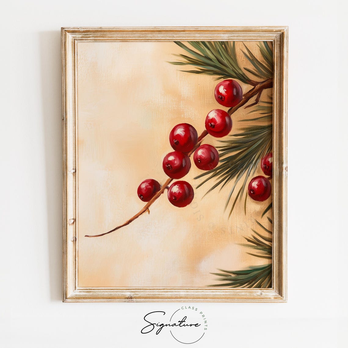 Red Winterberries On Branch With Evergreen Pine Needles Poster