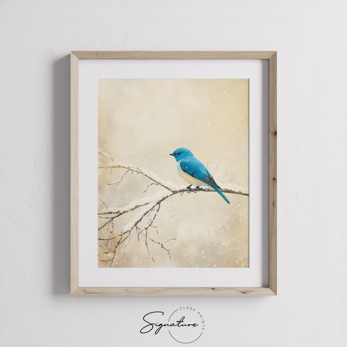 Bluebird Perched on a Snow Covered Branch Winter Bird Poster - Image 2