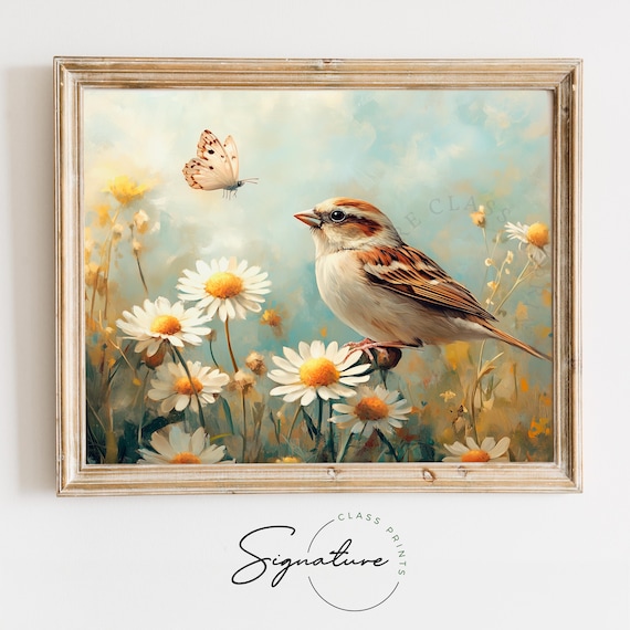 Sparrow Amid White Daisies With Butterfly Sunny Spring Garden Poster