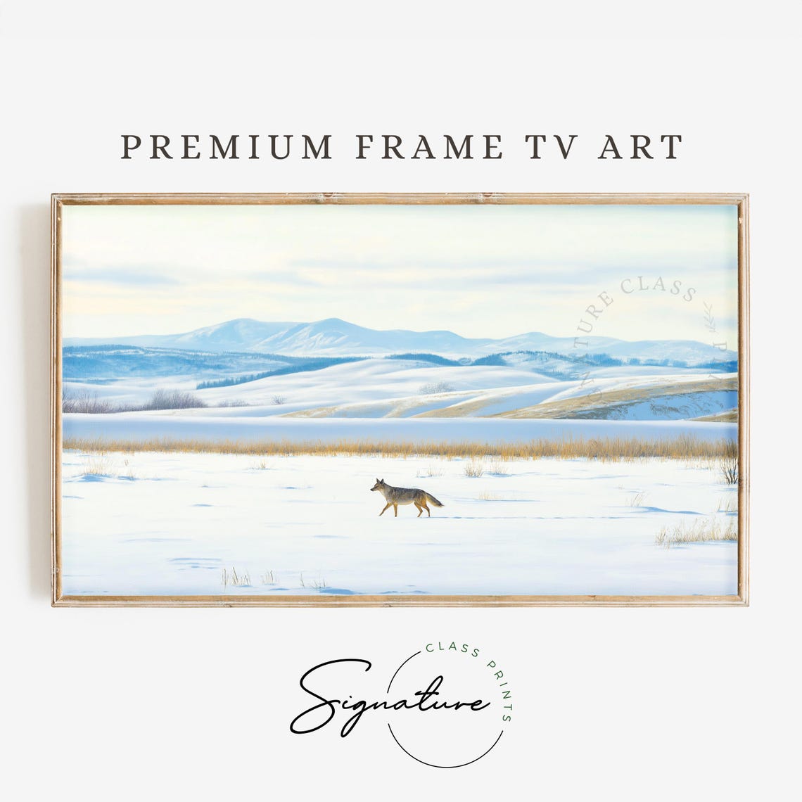 Lone Coyote in Snowy Meadow Beneath Mountain Winter Scene Poster