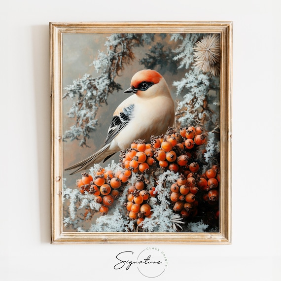 Songbird Perched Among Orange Winter Berries Frost Still Life Art Poster