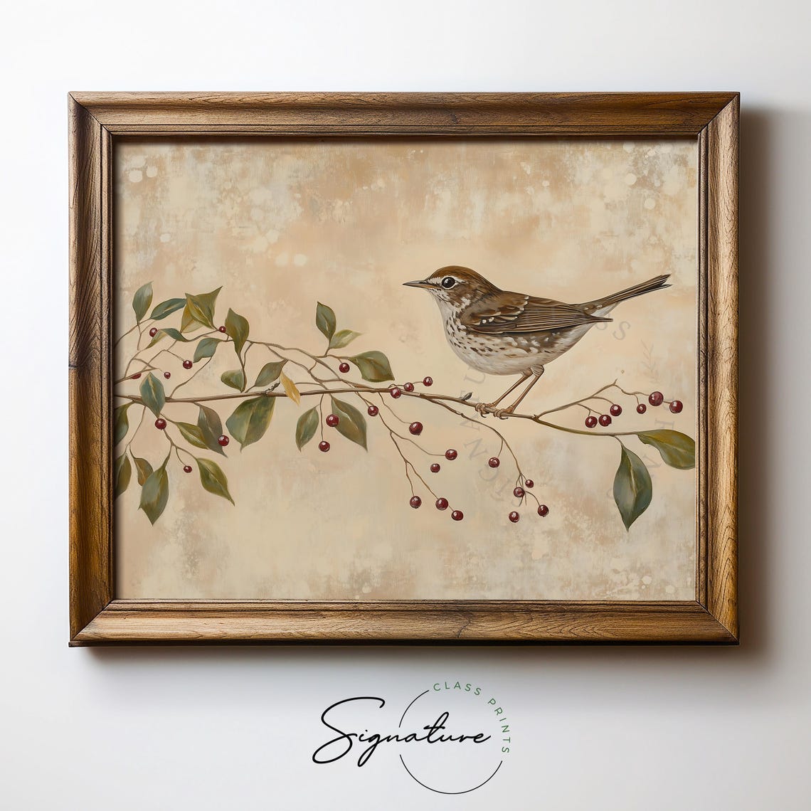 Hermit Thrush on Red Berry Branch Vintage Winter Bird Poster - Image 5