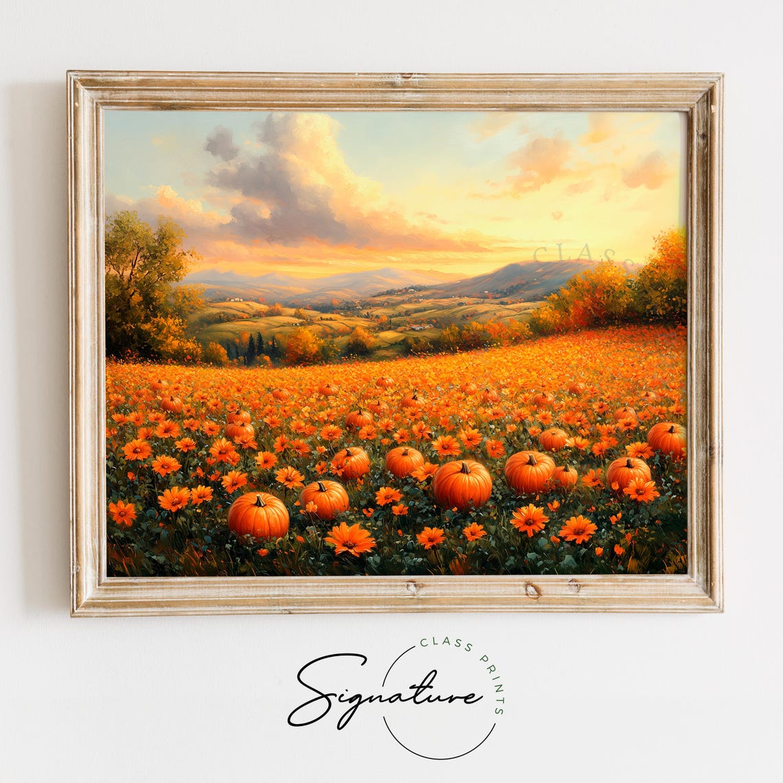 Pumpkin Patch Glowing at Sunset Over Rolling Autumn Hills Poster