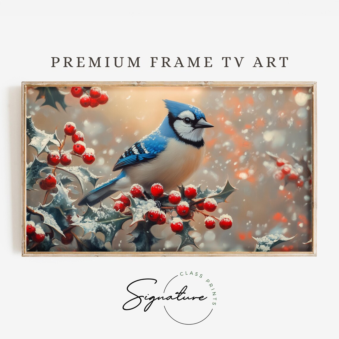 Blue Jay on Snow Covered Holly With Red Berries Winter Bird Poster
