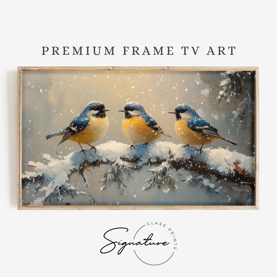 Songbird Trio On Snowy Pine Branch In Falling Snow Winter Bird Art Poster