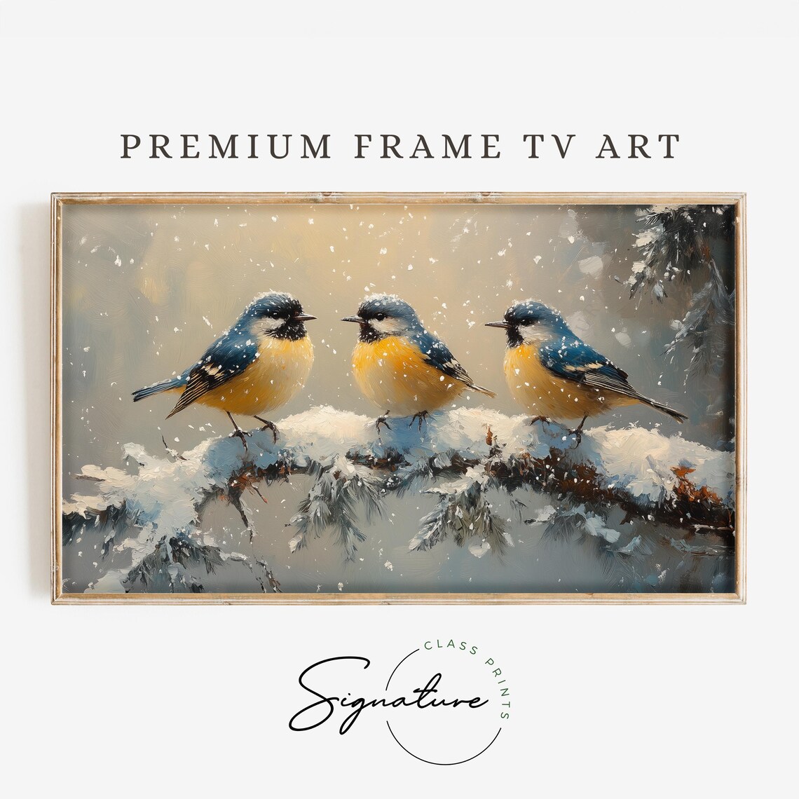 Songbird Trio On Snowy Pine Branch In Falling Snow Winter Bird Art Poster
