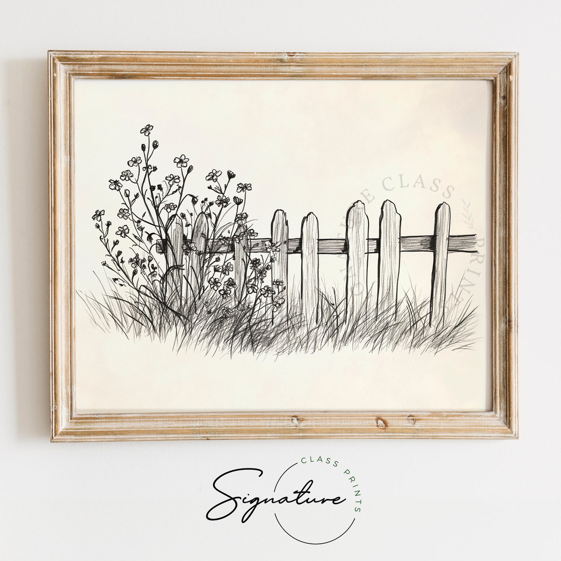 Wildflowers by a Wooden Picket Fence Pencil Sketch Botanical Poster