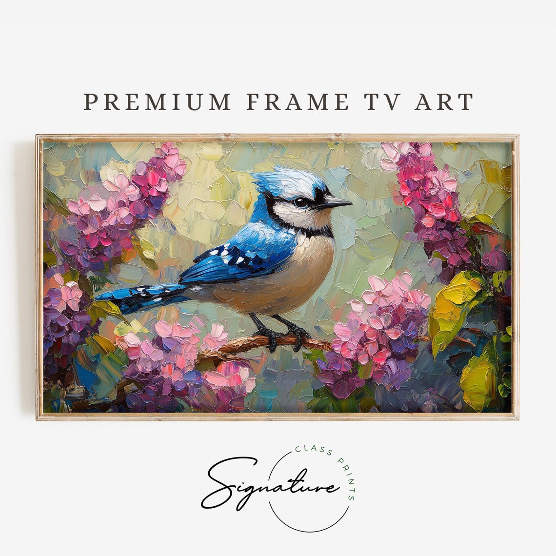 Blue Jay On Lilac Bloom Branch Impasto Colorful Bird Art Poster