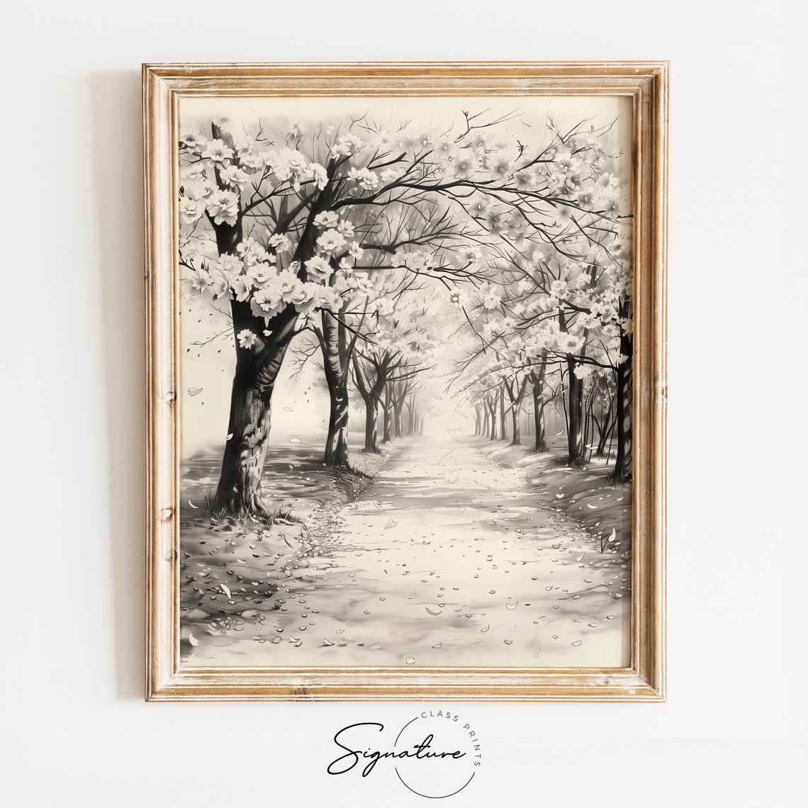 Tranquil Cherry Blossom Path In Spring Monochrome Ink Sketch Poster