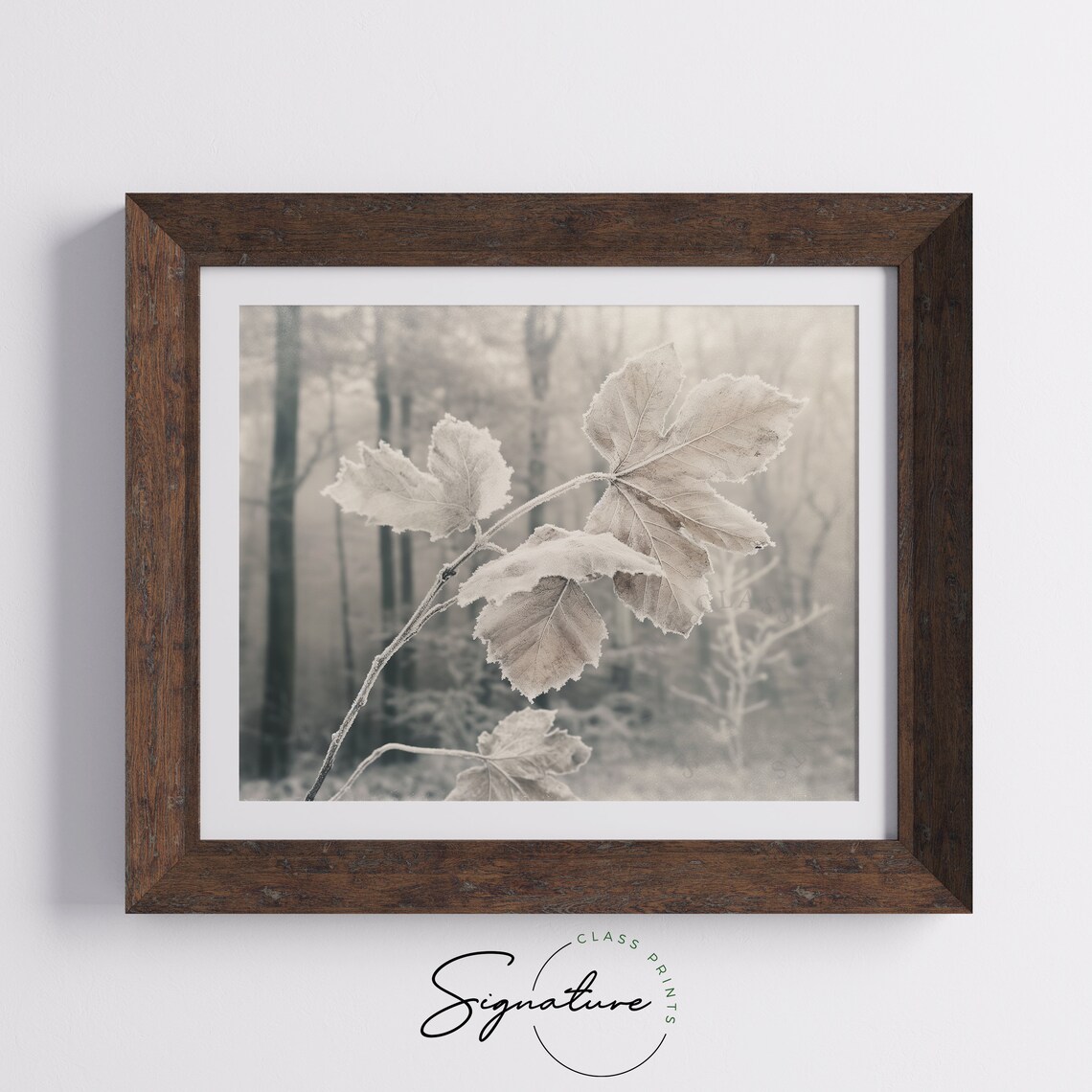 Frosted Leaves Branch in Misty Forest Neutral Winter Art Poster - Image 5
