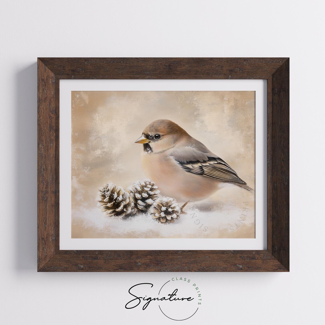 Chaffinch With Snowy Pinecones Winter Bird Art Vintage Print - Image 4