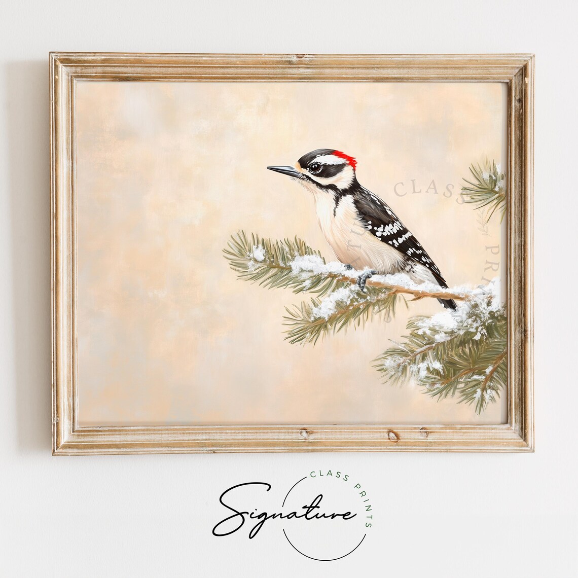 Detailed Downy Woodpecker On Snowy Pine Branch Vintage Bird Poster