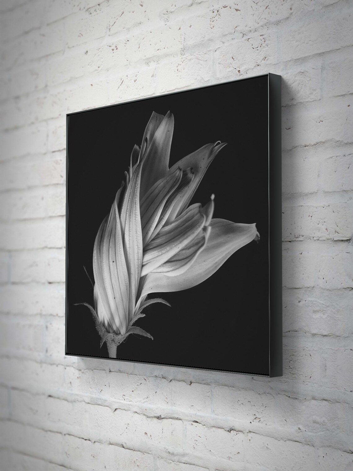 Blooming Flower, Elegant Floral Art Print - Image 3