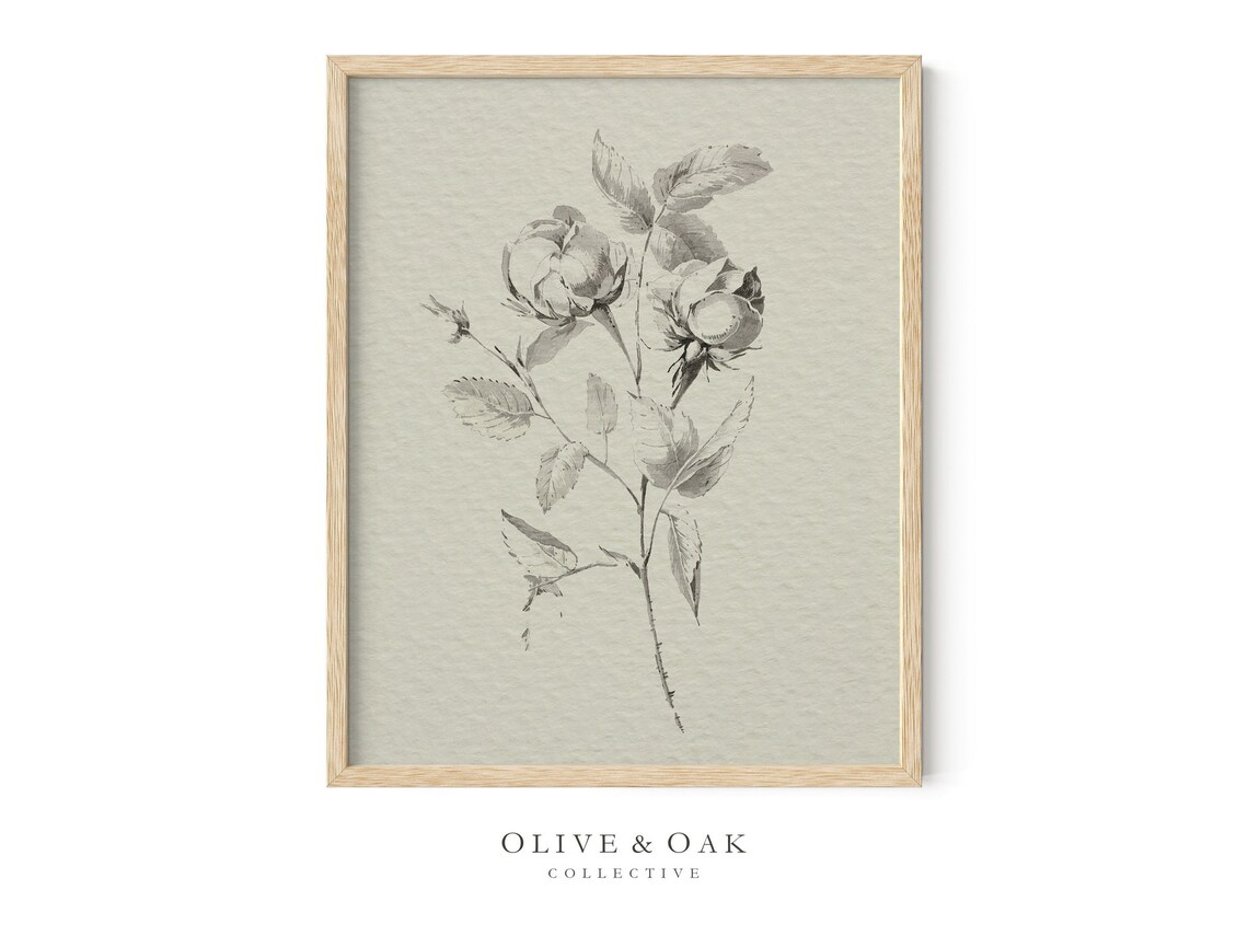 Vintage Flower Drawing, Rustic Botanical Sketch - Image 4