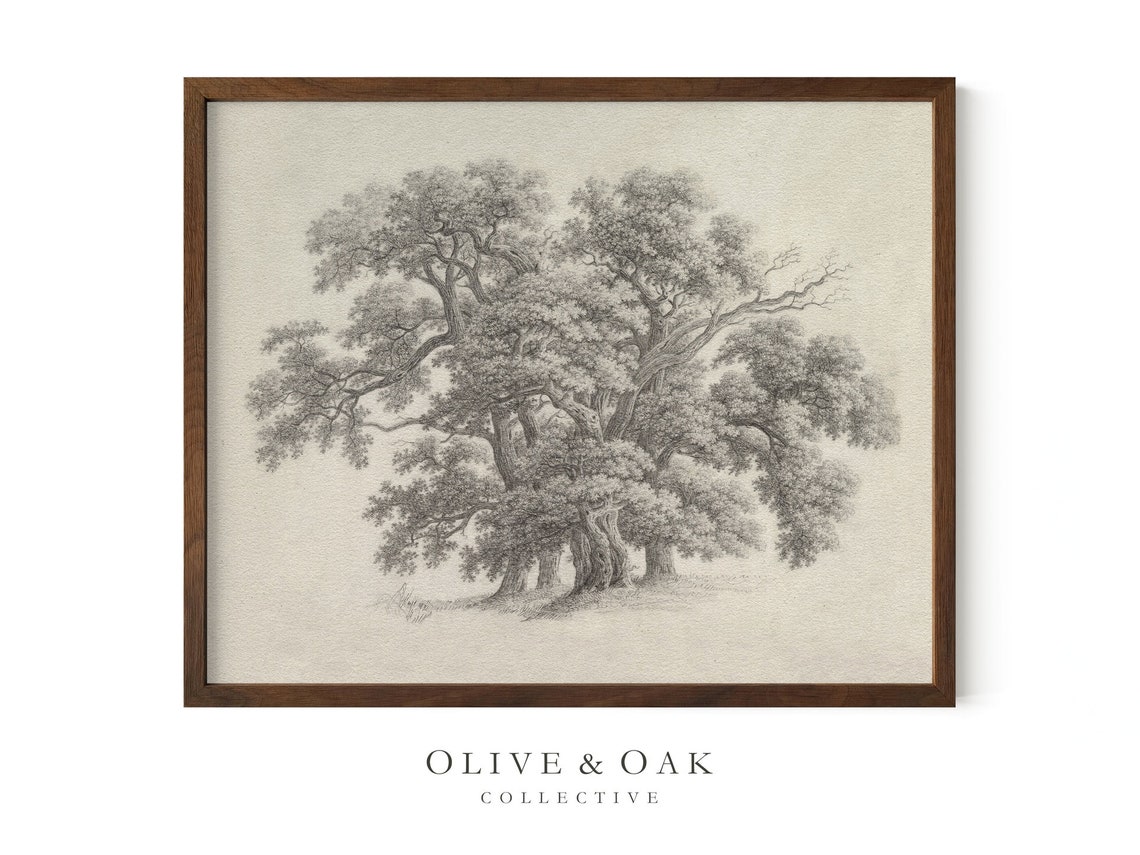 Vintage Oak Tree Sketch, Botanical Art Print - Image 2