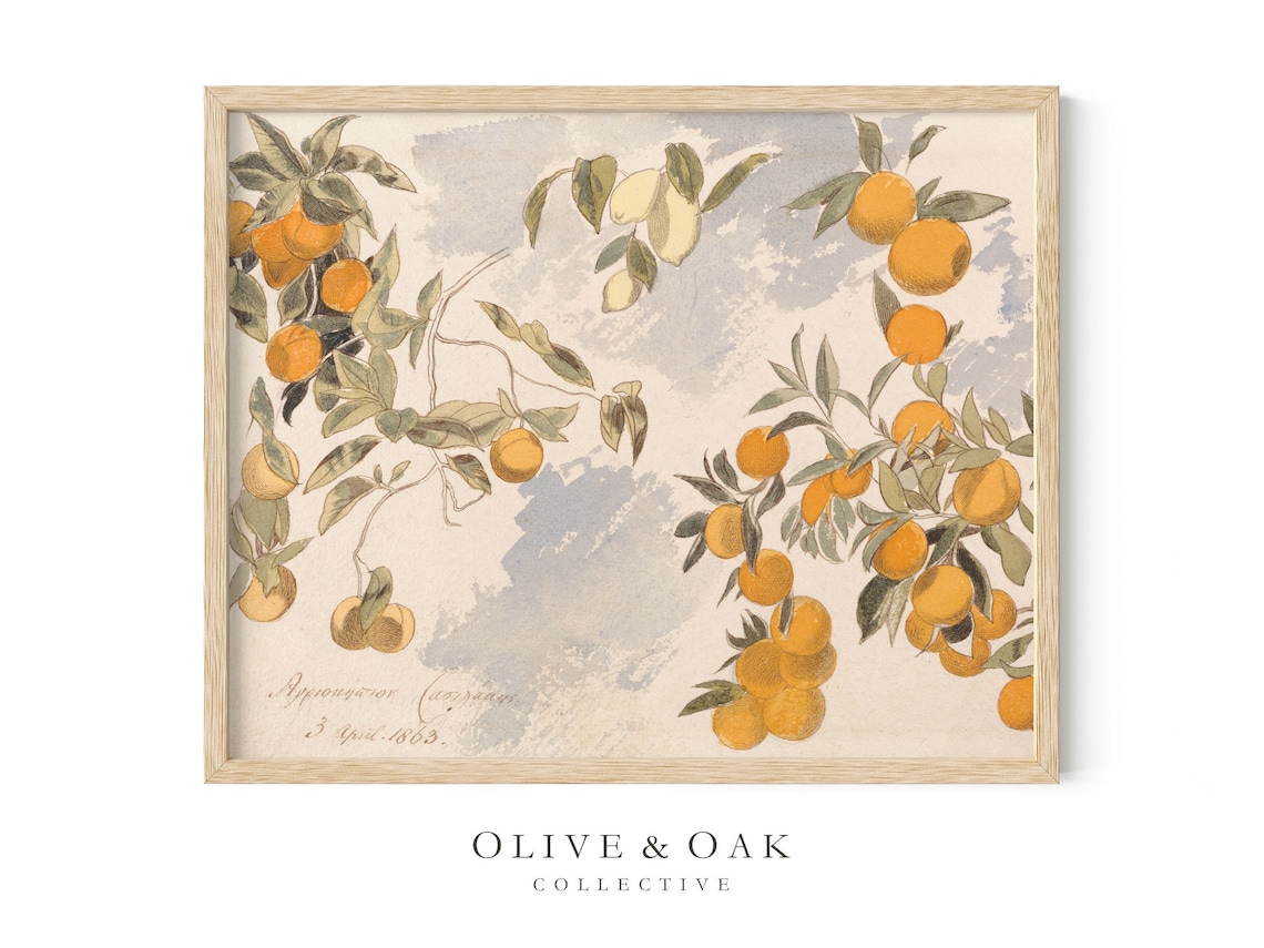 Vintage Botanical Lemon Painting, Farmhouse Kitchen - Image 4