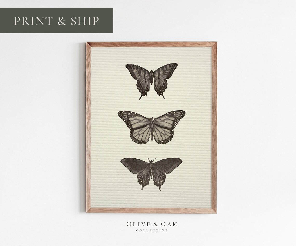 Vintage Neutral Butterfly Print, Antique Drawing